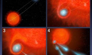 Fireball Star Puzzles Scientists